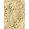 MAXWALL // 30-001 // 16,5m2