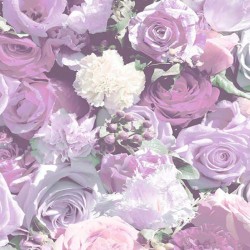 CONCETTA // CON004 // 5,3 m2