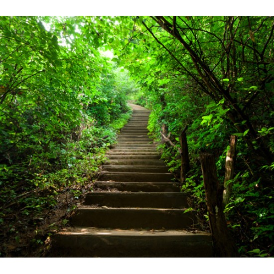 PROJECT // 32300-4 // 10m2