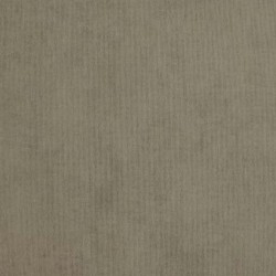 CORTE ANTICA // 8131 // 5,3 m2