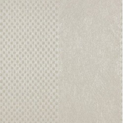 COLANI EVOLUTION // 56325 // 7m2