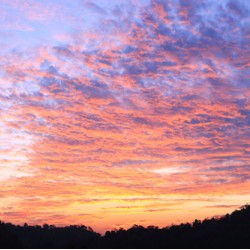 CONCETTA // CN18-0063 // 5,15m2