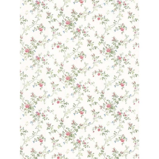 GRAND CLASSIC // 36306 // 5,3m2