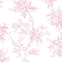 DARAE // 1713-3 // 16,5m2
