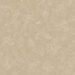 CARACTERE // 45105 // 5,3m2