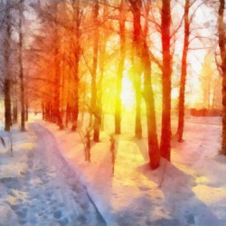 MIRA // 43430-4 // 10m2