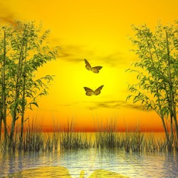 MIRA // 43430-2 // 10m2