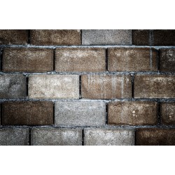 LINAS // 44130-5 // 10m2