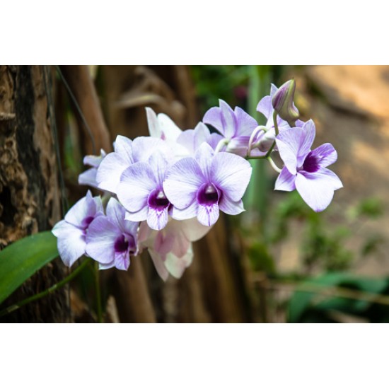 HAKAN AKKAYA 2 // 20155-2 // 10.6m2