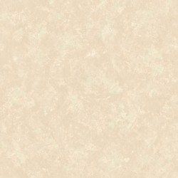CARACTERE // 45104 // 5,3m2