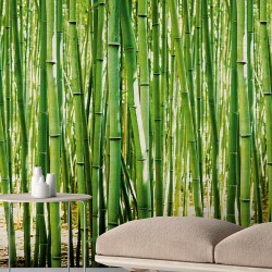 SPECTRUM // 773627-6 // 16,5m2