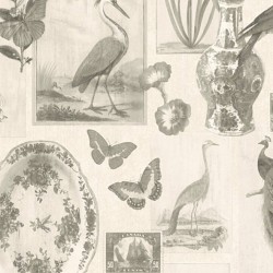 LIMA // 4111-5 // 16,5m2