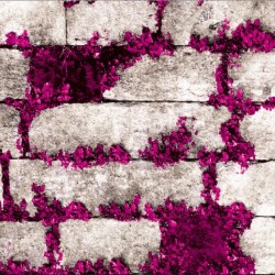 VOYAGE // 24850-3 // 10.6m2