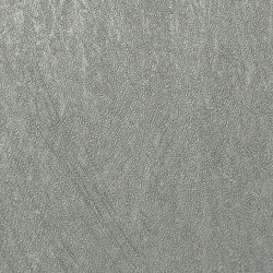 COLANI EVOLUTION // 56322 // 7m2