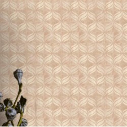 SPECTRUM // 773336-4 // 16,5m2