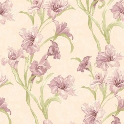 JACK N ROSE 2024 // LL-03-04-9 // 5,3m2