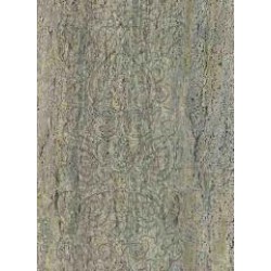 MAXWALL // 16-005 // 16,5m2