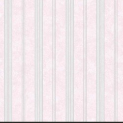 CARACTERE // 45004 // 5,3m2