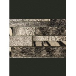 CAPOLAVORO // 82406 // 10m2