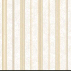CARACTERE // 45007 // 5,3m2