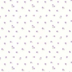 UNIVERSE 2023 // US4005 // 10m2