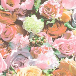 CONCETTA // CON002 // 5,3 m2