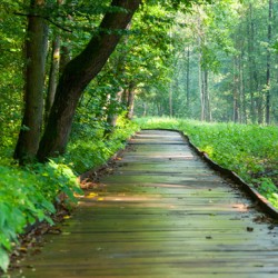 PROJECT // 32310-2 // 10m2