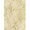 MAXWALL // 30-002 // 16,5m2