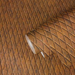 LIMA // 4111-2 // 16,5m2