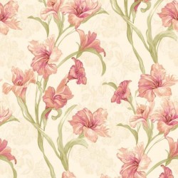 JACK N ROSE 2024 // LL-03-07-6 // 5,3m2