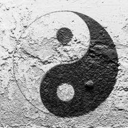 MIRA // 43427-4 // 10m2