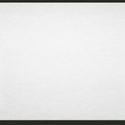 FLORAL THEMES // G23282 // 5,3m2