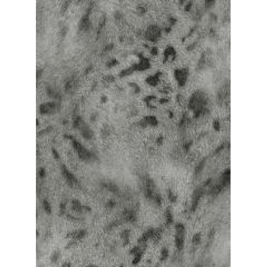 MAXWALL // 30-005 // 16,5m2