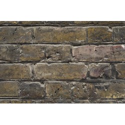 LINAS // 44130-3 // 10m2