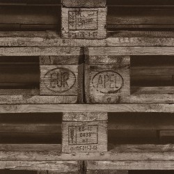 FLORAL THEMES // G23242 // 5,3m2