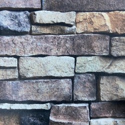 ELITE // Z78009 // 10m2