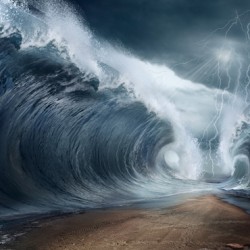 PROJECT // 32300-5 // 10m2