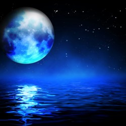 MIRA // 43428-2 // 10m2