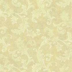 MINI TREND // Z15537 // 5,3m2