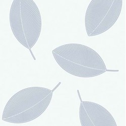 JET SETTER-123506 // 5,3m2